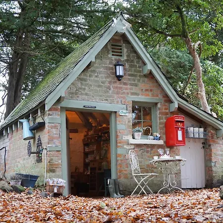 Luxury Woodland Lodge Retreat At Culdees Castle-3