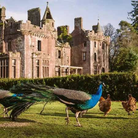 Luxury Woodland Lodge Retreat At Culdees Castle-2